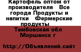 Картофель оптом от производителя - Все города Продукты и напитки » Фермерские продукты   . Тамбовская обл.,Моршанск г.